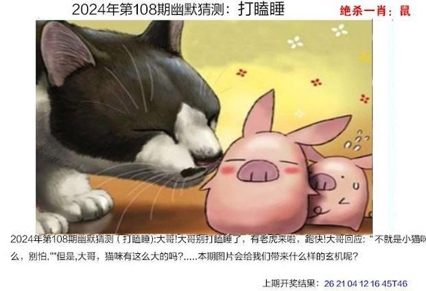 新2025澳门天天开好彩和猫咪从16楼意外坠落与猫咪从16楼意外坠落会死吗