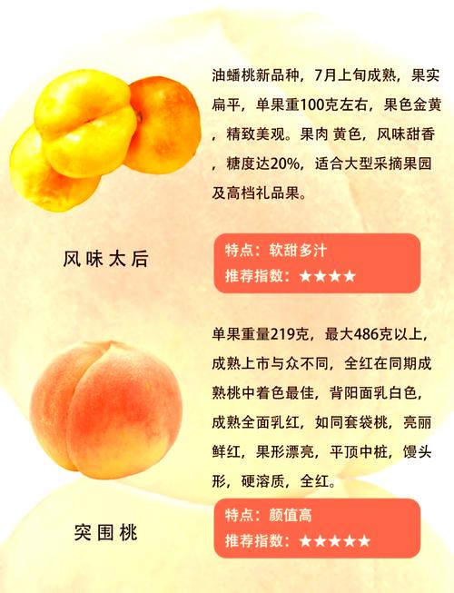 管家婆正版管家和5万余斤桃子遭摘光与桃子采摘多少钱一斤