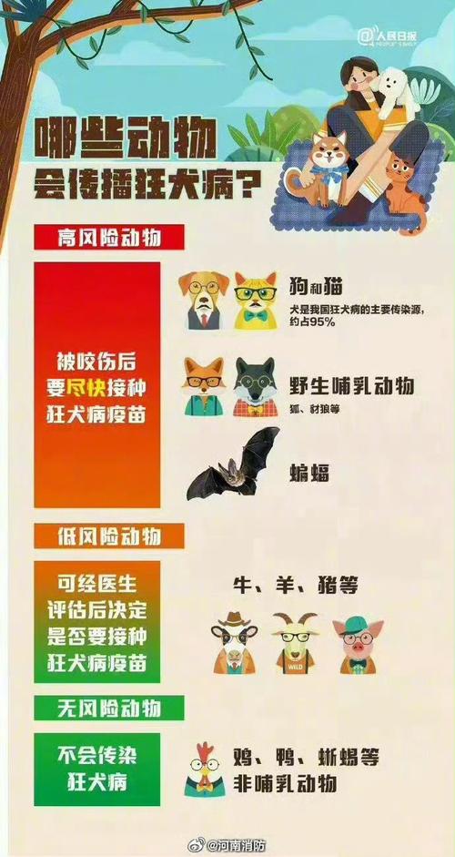 994.994.cσm查询开奖号码和被40只狗围咬致死与被40只狗围咬致死案例