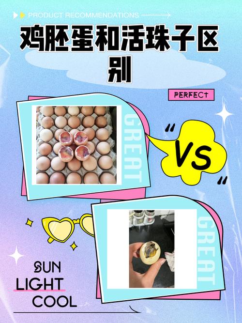 新澳门彩历史开奖记录走势图和3箱活珠子孵出小鸡与3箱活珠子孵出小鸡怎么办